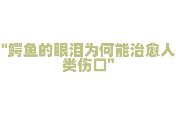 "鳄鱼的眼泪为何能治愈人类伤口"